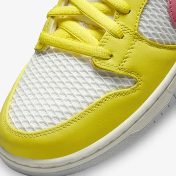 SB Dunk Low Be True Multicolor