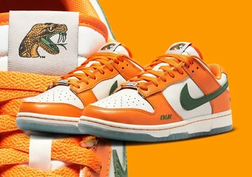 Florida A&M Dunk Low