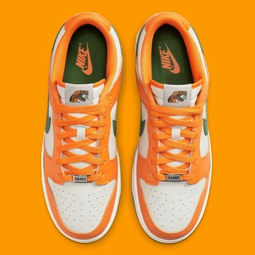 Florida A&M Dunk Low