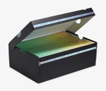 SB Dunk Low Be True Multicolor