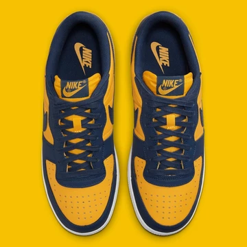 Nike Terminator Low Michigan
