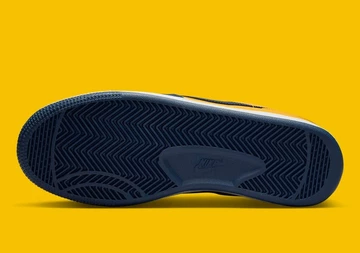 Nike Terminator Low Michigan