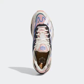 Sean Wotherspoon adidas Orketro Multicolor