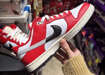 Nike Dunk Low Chicago Split