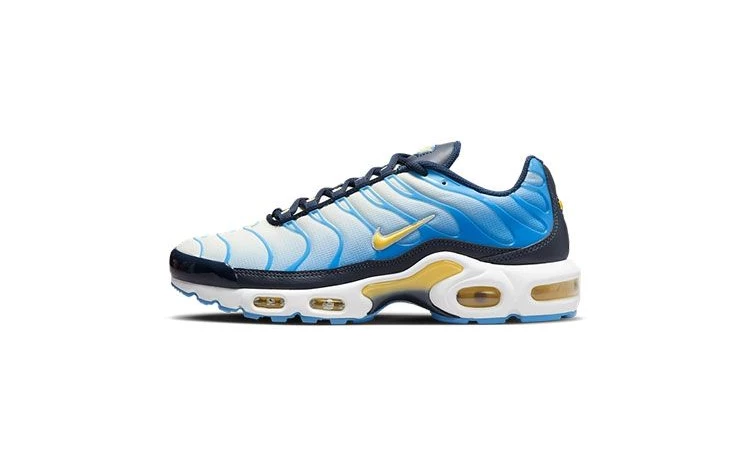 Nike air max plus university best sale