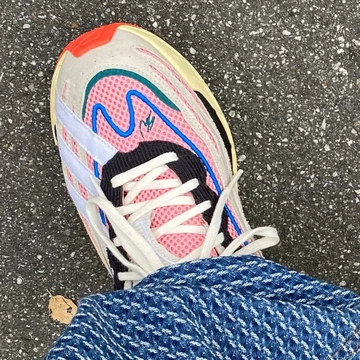 Sean Wotherspoon adidas Orketro Multicolor