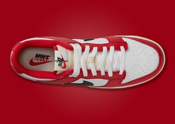 Nike Dunk Low Chicago Split