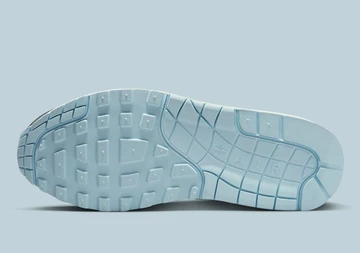 Air Max 1 Tiger Swoosh