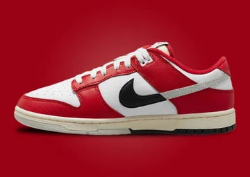 Nike Dunk Low Chicago Split