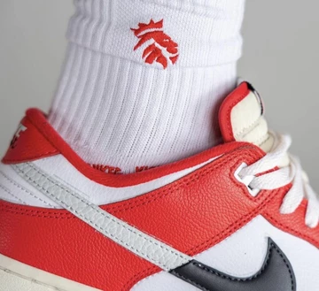 Nike Dunk Low Chicago Split