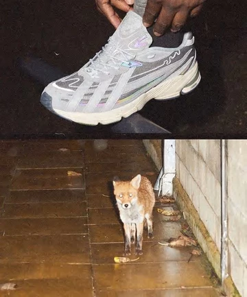 Offspring adidas Orketro London Nights