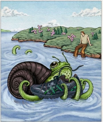 Andersson Bell ASICS Gel Sonoma 15-50 Black Green