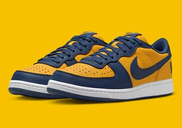 Nike Terminator Low Michigan