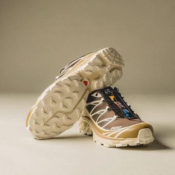 Salomon XT 6 Recut Wren