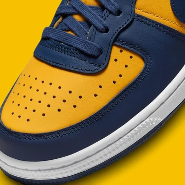 Nike Terminator Low Michigan