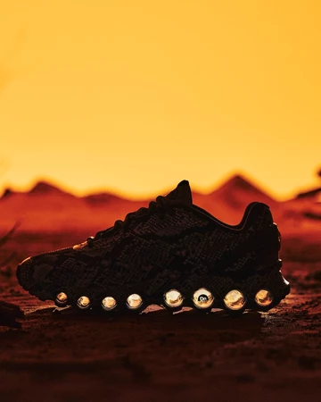 Air Max Dn8 Snakeskin in der Wüste