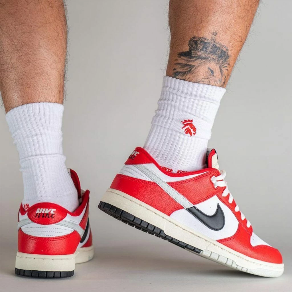 Dunk Low Chicago Split DZ2536-600 | Dead Stock 