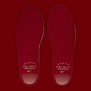 Air Force 1 Low Just Do It Coin