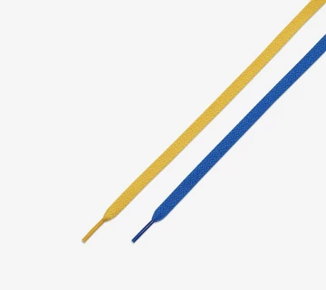 Jordan 1 High Reverse Laney