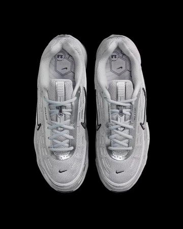 Air Max TL 2.5 Metallic Silver Paar von oben