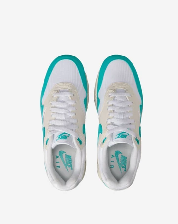 Air Max 1 Dusty Cactus Paar von Oben