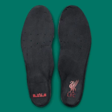 LeBron James Air Max 1 Liverpool