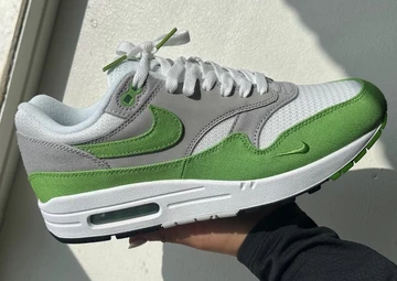 Patta x Nike Air Max 1 Chlorophyll in der Hand