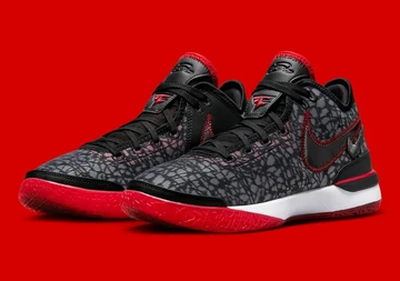 FaZe Clan Nike Zoom LeBron NXXT Gen