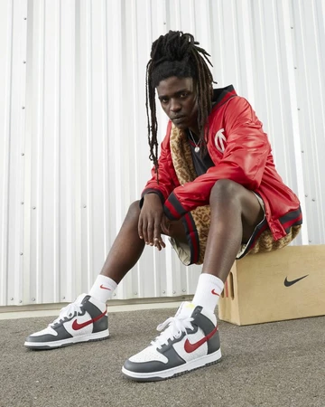 Dunk High Hoops Grey Red