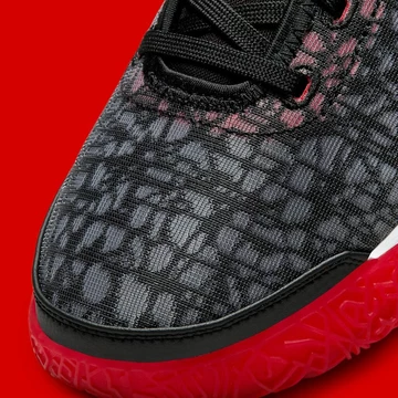 FaZe Clan Nike Zoom LeBron NXXT Gen