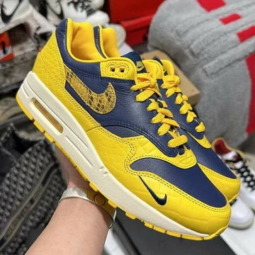 Air Max 1 CO JP Michigan
