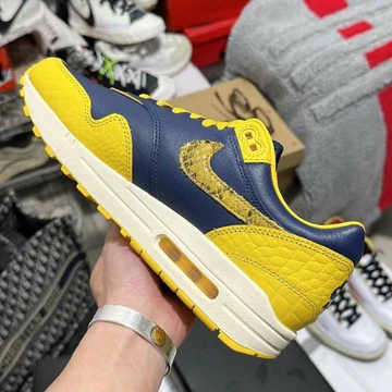 Air Max 1 CO JP Michigan
