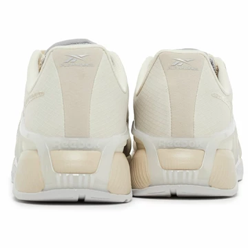 Pleasures Reebok Nano 6000