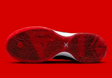 FaZe Clan Nike Zoom LeBron NXXT Gen