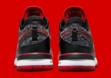 FaZe Clan Nike Zoom LeBron NXXT Gen