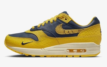 Air Max 1 CO JP Michigan