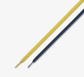 Air Max 1 CO JP Michigan