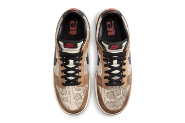 Dunk Low CO JP Black Brown