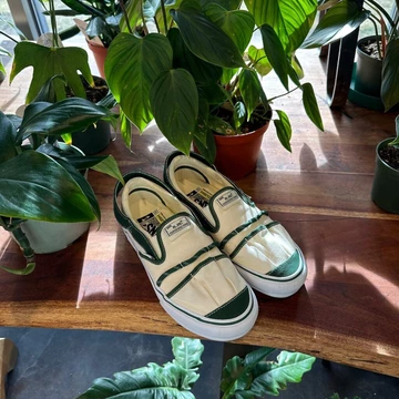 Nicole McLaughlin Vault by Vans