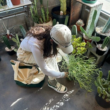 Nicole McLaughlin Vault by Vans