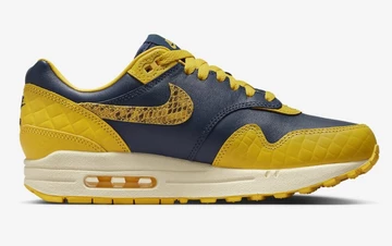 Air Max 1 CO JP Michigan
