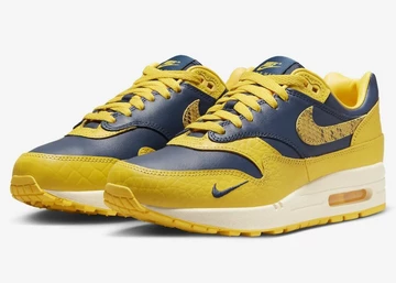 Air Max 1 CO JP Michigan