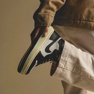 Jordan 1 Elevate Panda