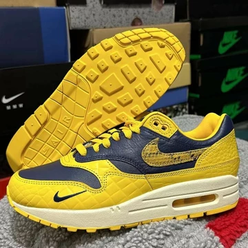 Air Max 1 CO JP Michigan