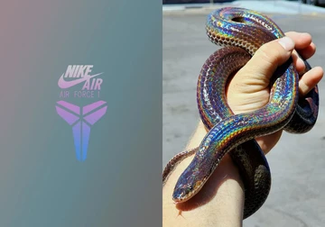 Kobe Bryant x Nike Air Force 1 Low Lenticular
