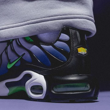 Nike Air Max 1 Plus Icons