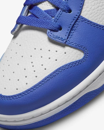 Dunk Low Kentucky Alternate