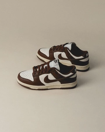 Dunk Low Brown Sail