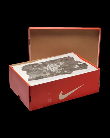 Stranger Things x Nike Dunk Low Phantom Schuhkarton