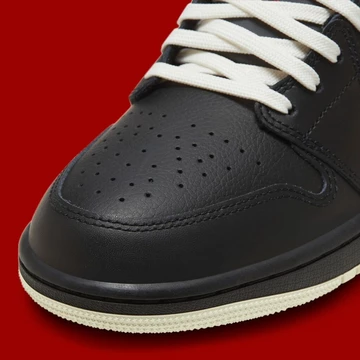 Jordan 1 Low Born To Fly